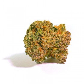 Fleurs CBD Premium Bio Erdbeerli