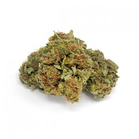 Fleurs CBD Premium Bio Easy Bud