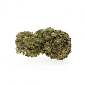 Fleurs CBD Premium Bio Lemon Haze