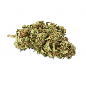 CBG Bio Premium OG Kush