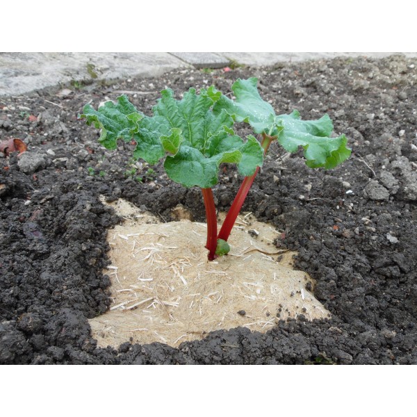 Paillage en Chanvre Potager BIO