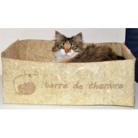 Caissette végétale