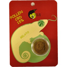 Pollen 15% CBD Gelato