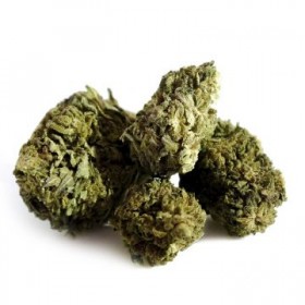 Fleurs CBD Bio Premium Vanilla Kush