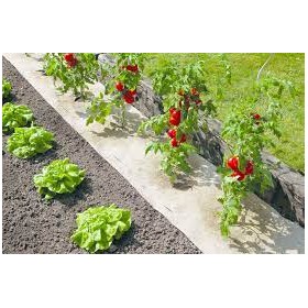 Rouleau de 1,20 m - 360g/m² de paillage Chanvre (palette)