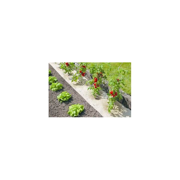 Rouleau de 1,20 m - 360g/m² de paillage Chanvre (palette)