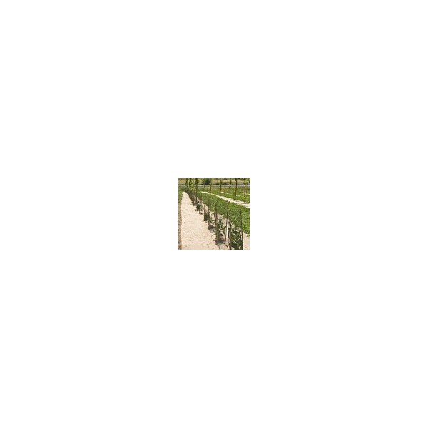 Rouleau de 1,20 m - 360g/m² de paillage Chanvre (palette)