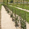 Rouleau de 1,20 m - 360g/m² de paillage Chanvre (palette)