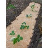 Rouleau de 1,20 m - 360g/m² de paillage Chanvre (palette)