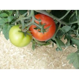 Rouleau de 1,20 m - 450g/m² de paillage Chanvre voile PLA (palette)