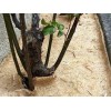 Rouleaux de 0,87 m * 100 m - 360g/m² de paillage Chanvre (palette)