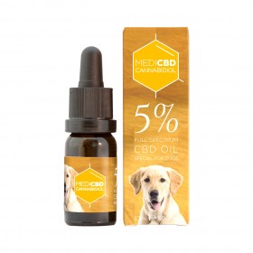 Huile au CBD pour Chiens